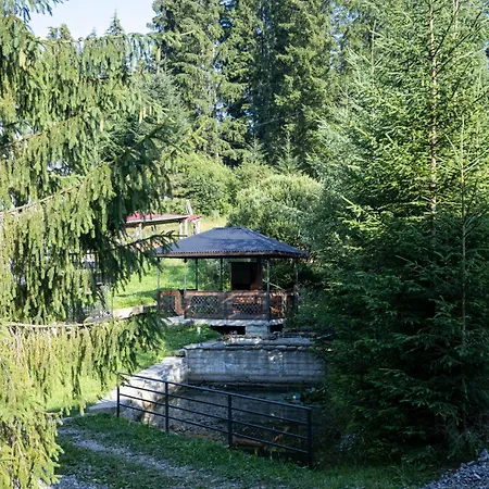 у лісі Holiday home *